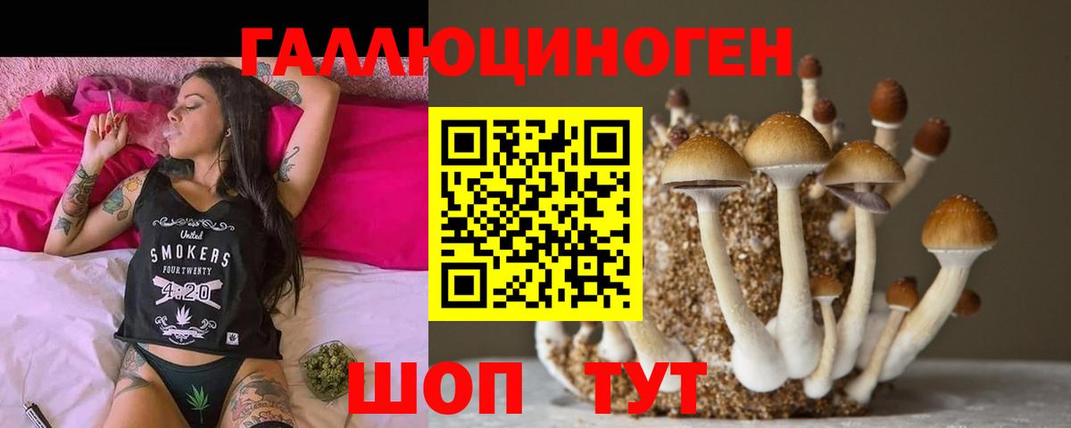 Псилоцибиновые грибы Cubensis  Вход с VPN  Норильск 
